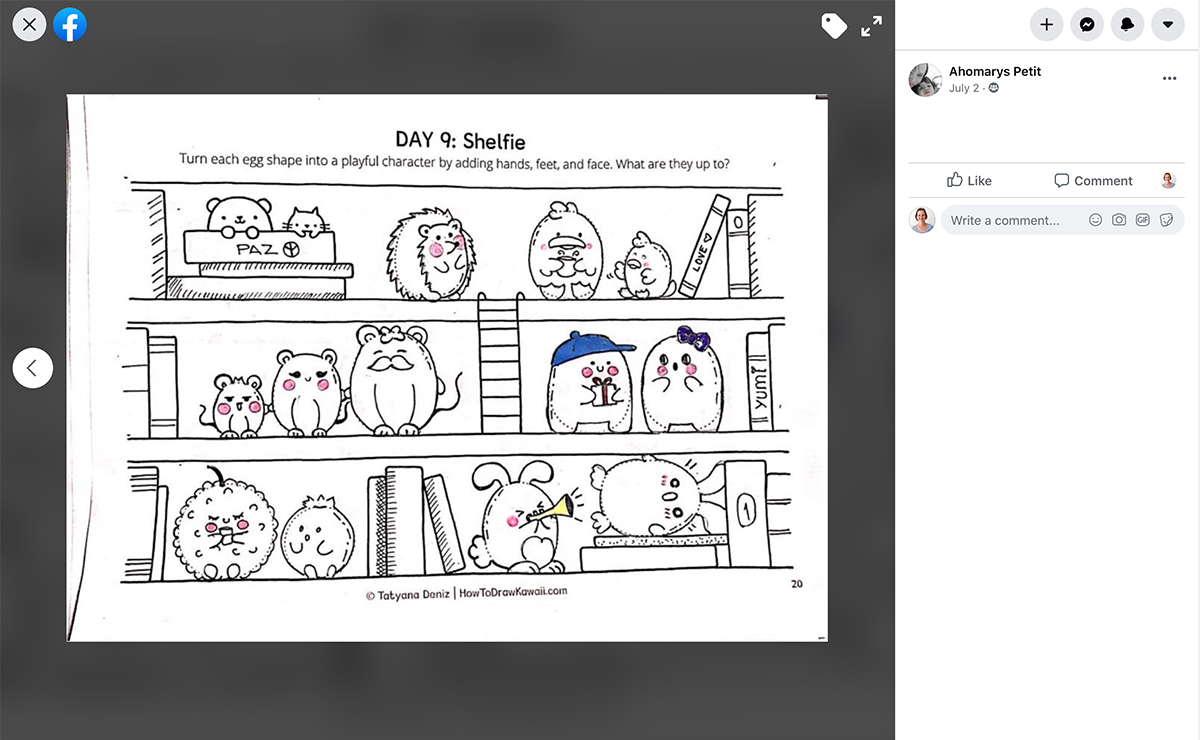 Student work: Day 9 Shelfie drawing