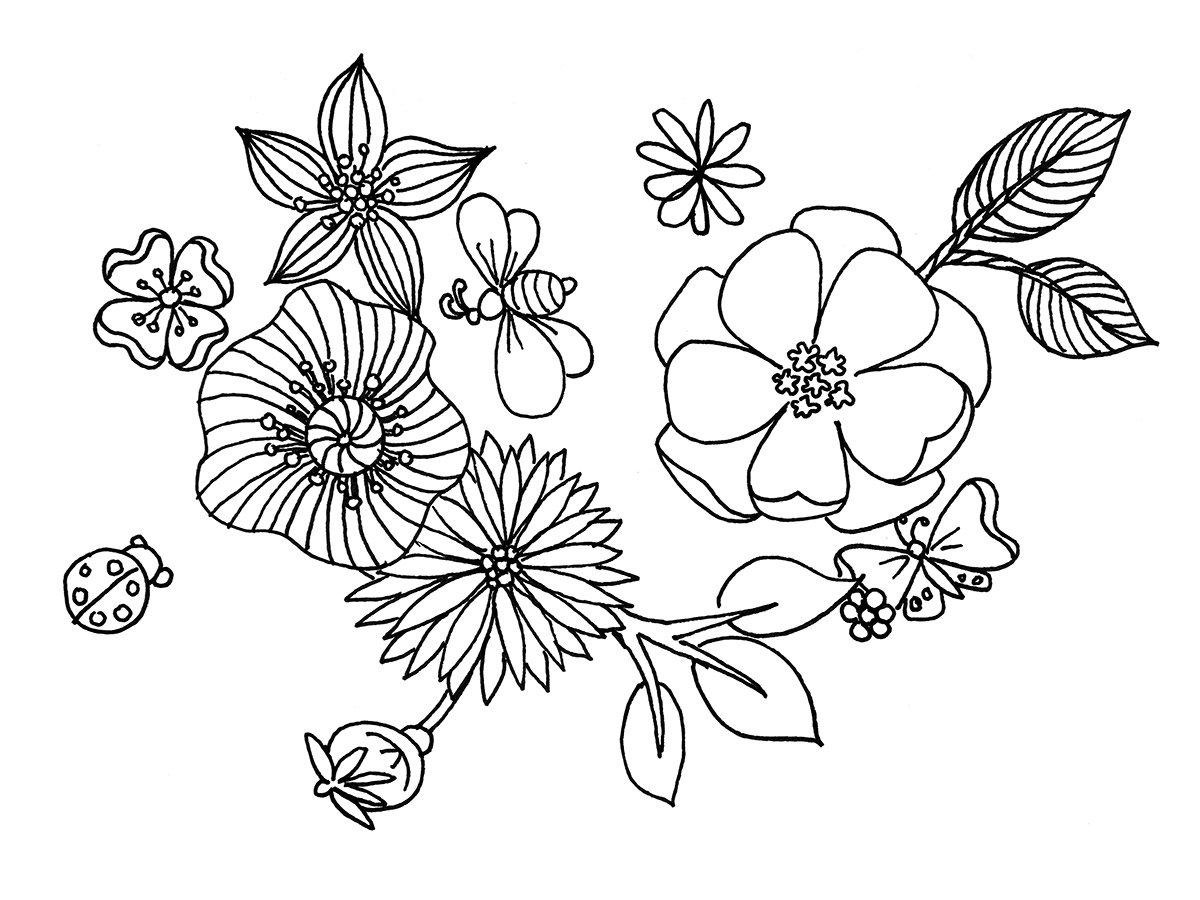 Flowers illustration with outlines only